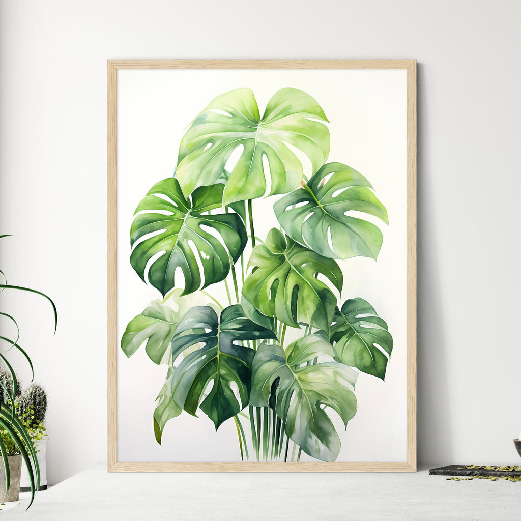 Boho - A Close Up Of A Plant