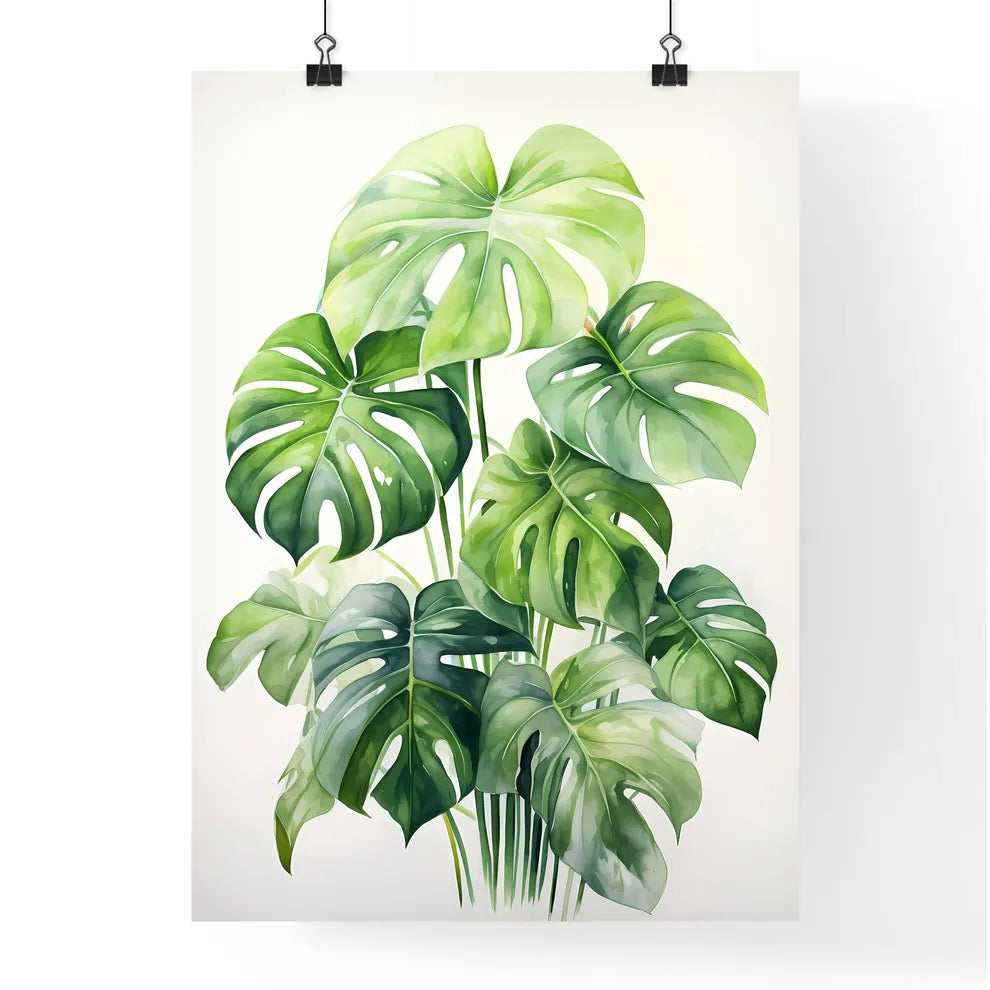 Boho - A Close Up Of A Plant